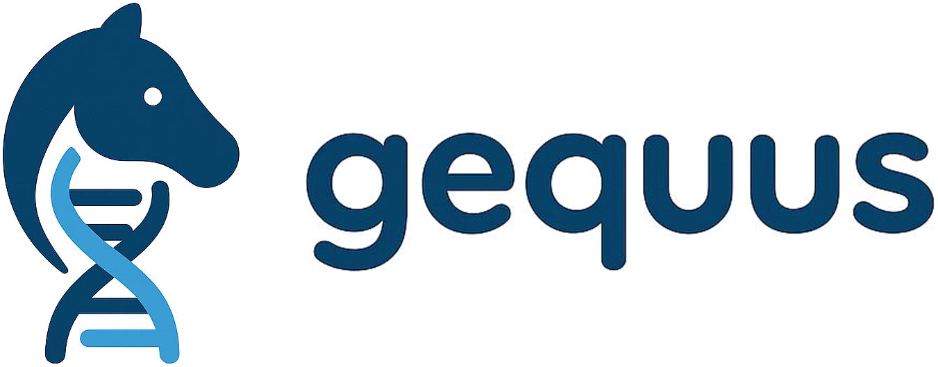 Gequus